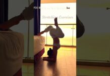 stretching exercises | floor stretches | lower back and hip yoga #yoga #yogastretch #motivation