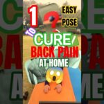 Asana to cure back pain at home 😱 #shorts #backpain