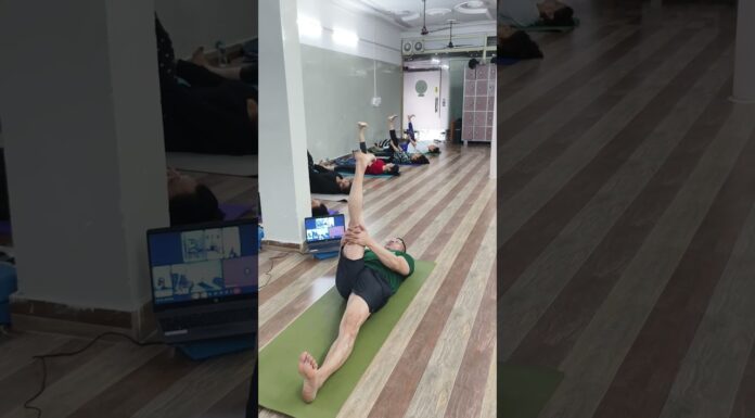 पैरों की स्ट्रेचिंग के लिए योग #dailyyoga #onlineyoga #mobility #healthyjoints #hamstrings