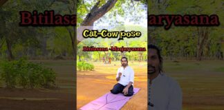 Cat–Cow Pose – Neck, Upper & Lower Back Pain, PCOD, PCOS, Thyroid కోసం#yoga #catandcow #shlokamyoga