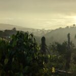 What I Learned From 7 Days of Darkness