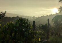 What I Learned From 7 Days of Darkness