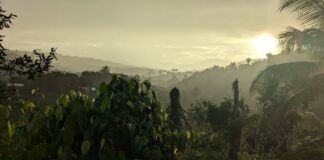 What I Learned From 7 Days of Darkness