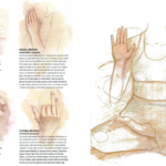 Mudras Can Seriously Deepen Your Yoga Practice. Here’s How.