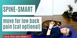 My fave move for low back pain when you have osteoporosis