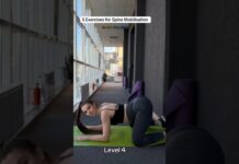 Five Spine Mobility Exercises .#SpineMobility#Exercise#HealthyLife#PerfectHips#ShortsFitness.