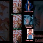 Daily Mudras for Neck & Lower Back Pain Relief | Yoga for Spinal Health #yoga