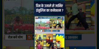 दिन के उजाले से जानिए इंसुलिन का कनेक्शन ? #shorts #indiatvyoga #swamiramdev #insulin
