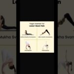 Yoga for lower back pain #azhari #petshub #yoga #viral #bome #viralplzz #shorts #foodcorner