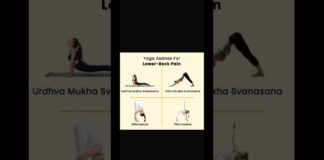 Yoga for lower back pain #azhari #petshub #yoga #viral #bome #viralplzz #shorts #foodcorner