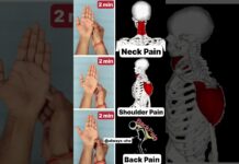 Daily Mudra #neckpain #shoulder #pain #shorts #yoga #mudra #trending #yogapractice #foryou #focus