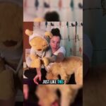 🐢💚 Turtle Breath & Pose 💚🐢 Slow Down & Feel Safe #kidsyoga #mindfulkids #brainbreak #breathbreak