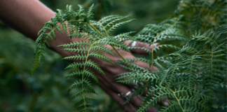 Nature Meditation Is as Simple as Stepping Outside