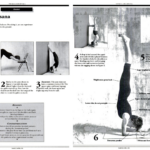 How to Come Into Pincha Mayurasana