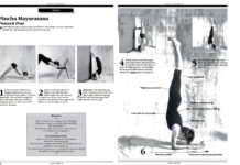 How to Come Into Pincha Mayurasana