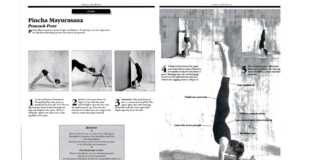 How to Come Into Pincha Mayurasana