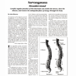 Shoulderstand Invites You to Get Quiet and Release Tension