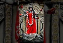 Jai maa kali 🌺❤️🙏
