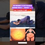 Diastasis recti isn't just for pregnant women!One move to fix it#shorts #newwaystoexerciseathome