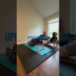 Yoga for beginners #calm #mobility #yoga #viral #fyp #easystretch #naamgibson #lowerbackpain
