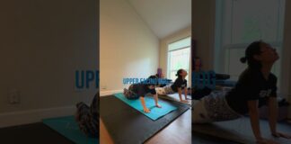 Yoga for beginners #calm #mobility #yoga #viral #fyp #easystretch #naamgibson #lowerbackpain