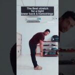 Best stretch for a tight lower back & hamstrings #fitness #workout #love #gym #workout #stretching