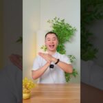 4 động tác làm khoẻ gan – Thải độc cơ thể | Hải Ninh Yoga