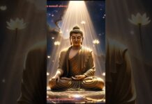 Healing Meditation with Buddha | Remove Anxiety & Find Serenity#BuddhaMeditation#MeditationMusic