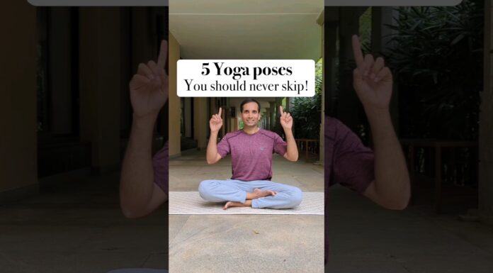 5 Yoga Poses Everyone Must Practice Daily | Simple Yoga for Health & Fitness | Daily Yoga Routine