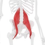 Everything You Need to Try Reclining Hero Pose (Supta Virasana)