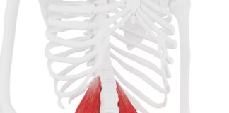Everything You Need to Try Reclining Hero Pose (Supta Virasana)