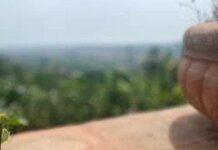 Kitchari: A Simple Ayurvedic Recipe for Healing and Balance | Tara Mitra Yoga