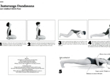 Chaturanga Calls for Full-Body Strength