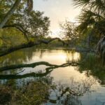 5 Family Wellness Retreats—Plus Discounts for YJ Readers