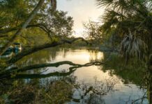 5 Family Wellness Retreats—Plus Discounts for YJ Readers