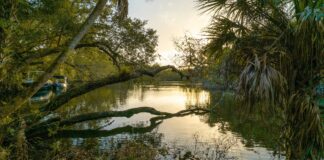 5 Family Wellness Retreats—Plus Discounts for YJ Readers