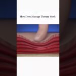 How Does Massage Therapy Work #RxInsights #india #medical #medicalcollege #pharmac