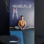 🪱Hip Mobility Flow!