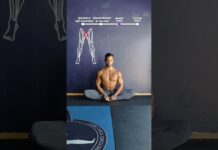 🪱Hip Mobility Flow!