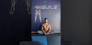 🪱Hip Mobility Flow!