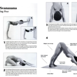 Downward-Facing Dog Might Be the Ultimate Yoga Pose