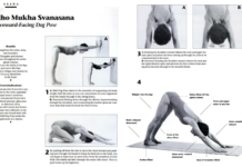 Downward-Facing Dog Might Be the Ultimate Yoga Pose
