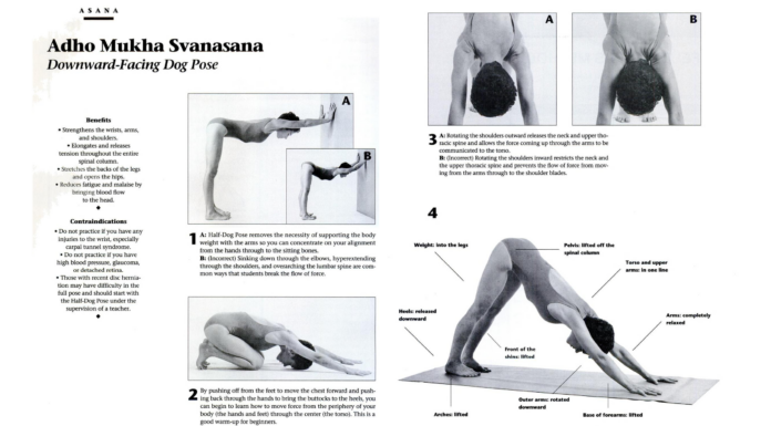 Downward-Facing Dog Might Be the Ultimate Yoga Pose