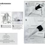 Extended Side-Angle Pose Relies on Your Psoas for Alignment
