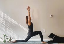 Overwhelmed? Indecisive? Stuck? Try Yoga for Freeze Response.