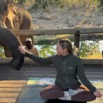 6 Yoga Retreats That Bring You Closer to the Natural World