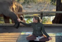 6 Yoga Retreats That Bring You Closer to the Natural World