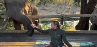 6 Yoga Retreats That Bring You Closer to the Natural World