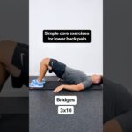 3 SIMPLE Exercises For Lower Back Pain Relief! (Strengthen Your Spine)