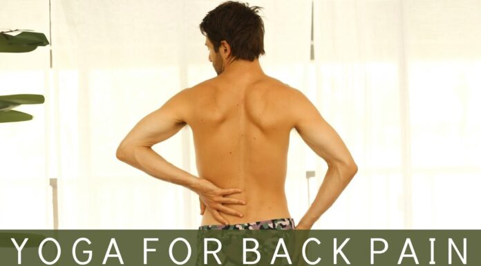 Yoga For Back Pain | Tim Senesi Yoga